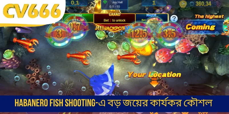 Habanero Fish Shooting-এ বড় জয়ের কার্যকর কৌশল